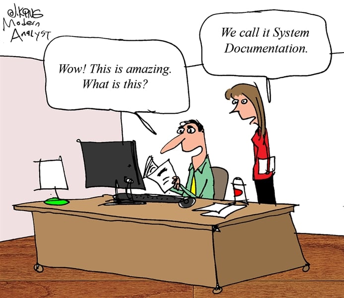 Humor - Cartoon: What is this? System Documentation...
